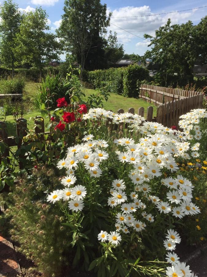 Slades Farm Bed & Breakfast Edington  Eksteriør bilde