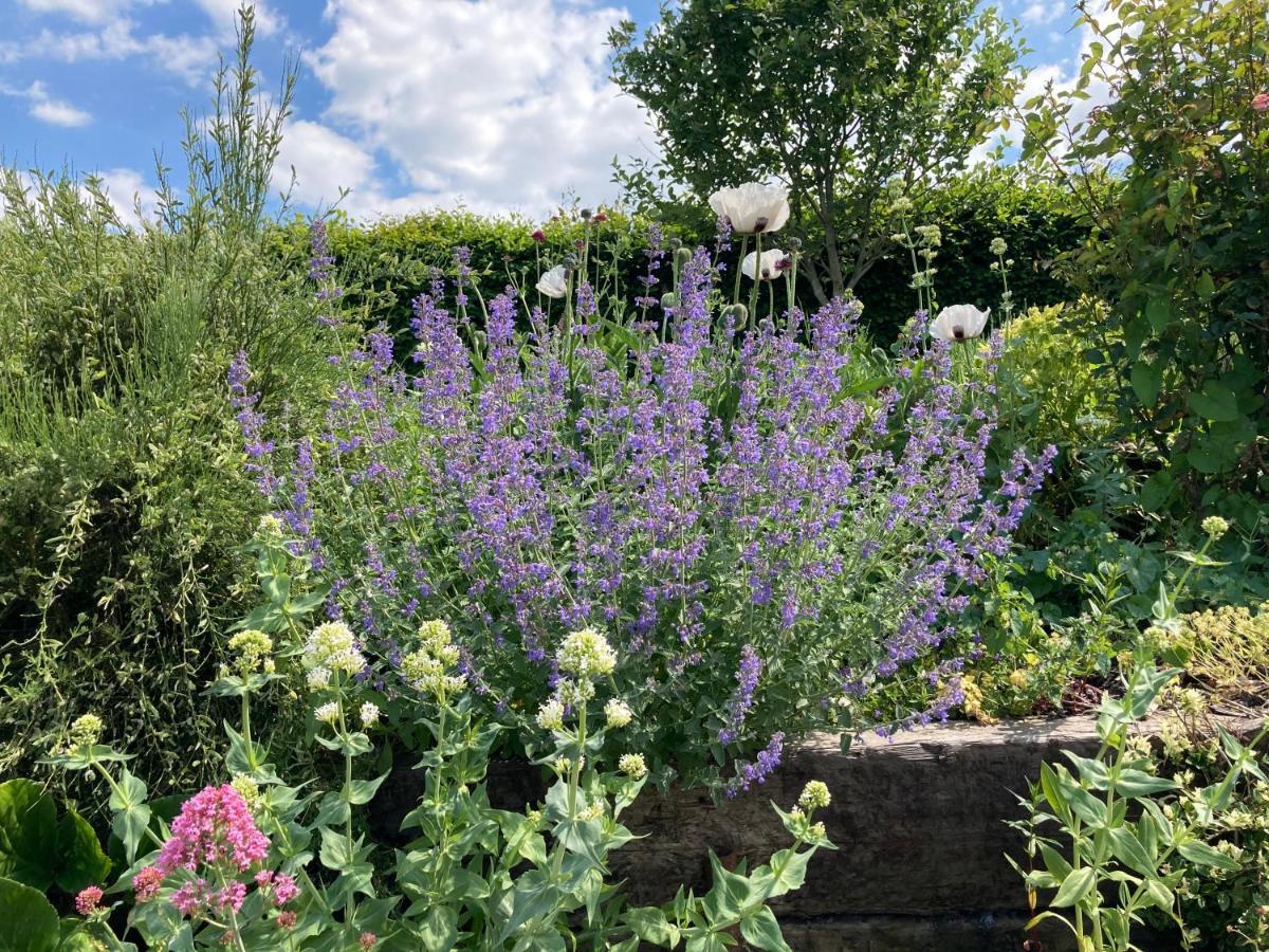 Slades Farm Bed & Breakfast Edington  Eksteriør bilde